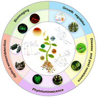 Graphical abstract: Advances of nano-photofertilizers in plant research