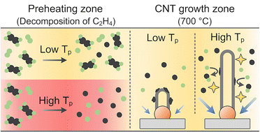 Graphical abstract: Influence of ethylene thermal decomposition on carbon nanotube growth: insights from a two-zone reactor study