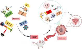 Graphical abstract: Nanomotor-mediated drug delivery with efficient blood–brain barrier crossing for active targeting and therapy of glioblastomas: a systematic review