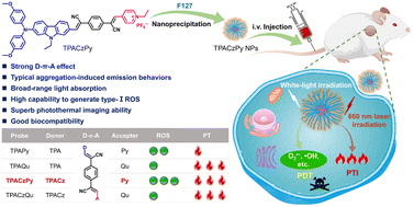 Graphical abstract: Molecular engineering-facilitated AIE-active type-I photosensitizers for photothermal imaging-guided photodynamic therapy
