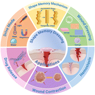 Graphical abstract: Insights into advanced dressings based on shape memory materials for wound management
