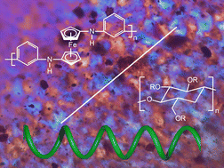 Graphical abstract: Helical magnetism in poly(aniline-co-ferrocene): structure and magnetism