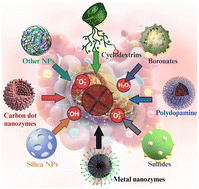 Graphical abstract: Precision therapeutics for inflammatory bowel disease: advancing ROS-responsive nanoparticles for targeted and multifunctional drug delivery