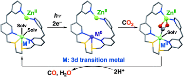 Graphical abstract: Photocatalytic CO2 reduction catalysed by 3d transition metal complexes bearing an S2N2 ancillary ligand equipped with pyridine pendants as binding sites for Lewis acids