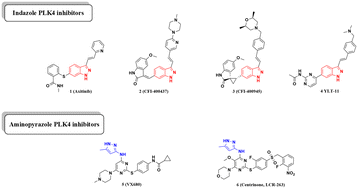 Graphical abstract: Design, synthesis, and biological evaluation of novel N-(1H-indazol-6-yl)benzenesulfonamide derivatives as potent PLK4 inhibitors