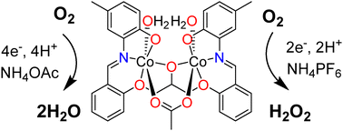 Graphical abstract: Anion controlled selectivity in oxygen reduction catalysed by a dinuclear cobalt N,O-Schiff base complex