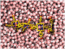 Graphical abstract: Origins of curvature in meso-tetra(4-sulfonatophenyl) porphine aggregation: molecular dynamics and electronic spectroscopy