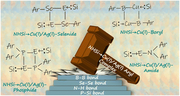 Graphical abstract: Driving diverse bond functionalisation with N-heterocyclic silylene-coinage metal–aryl complexes