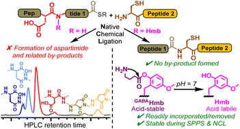 Graphical abstract: Identification, occurrence and prevention of aspartimide-related byproducts in chemical protein synthesis