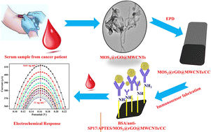 Graphical abstract: Electrochemical biosensing of sperm protein 17 in clinical samples using a hydrothermally synthesized MoS2@rGO@MWCNTs ternary system without prior pre-treatment