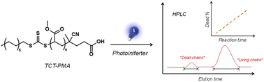 Graphical abstract: The livingness of poly(methyl acrylate) under visible light photoiniferter-RAFT polymerization mediated by trithiocarbonates