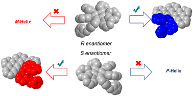 Graphical abstract: A diastereoselective Scholl reaction: point-to-helical chirality transfer in molecular nanographenes