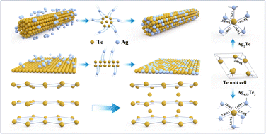 Graphical abstract: Dimensionality-driven phase engineering in 2D noble metal chalcogenides: new phase via confined chemical transformation
