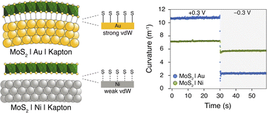 Graphical abstract: Interactions at heterointerfaces influence actuation in wet cast 1T-MoS2 and V2O5·0.5H2O thin films