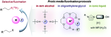 Hydrogen-bond promoted nucleophilic fluorination: concept, mechanism ...