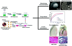 Development of finasteride/PHBV@polyvinyl alcohol/chitosan reservoir ...