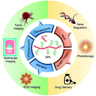 Grafted semiconducting polymer amphiphiles for multimodal optical ...