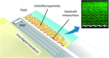 Microfluidic acoustic sawtooth metasurfaces for patterning and ...