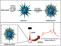 A hybrid plasmonic nanoprobe using polyvinylpyrrolidone-capped ...