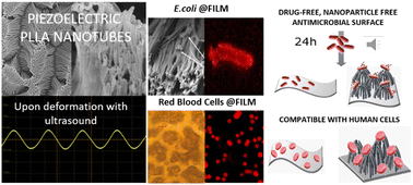 Antimicrobial Activity Of Piezoelectric Polymer: Piezoelectricity As ...