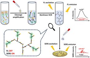 A novel dual-mode aptasensor based on a multiple amplification system