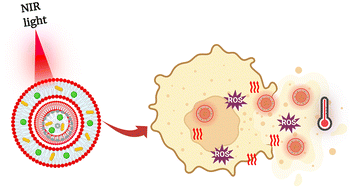 Near-infrared Light Activatable Niosomes Loaded With Indocyanine Green ...