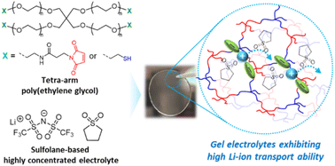 Tetra-arm poly(ethylene glycol) gels with highly concentrated sulfolane ...