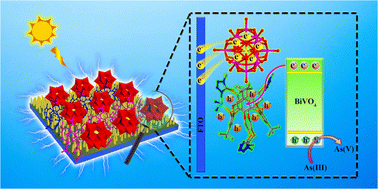 Highly efficient photoelectrocatalytic oxidation of arsenic(iii) with a ...