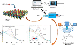 A molybdenum disulfide/nickel ferrite-modified voltammetric sensing ...