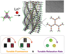 Hierarchical self-assembly of metal–organic supramolecular fibers with ...