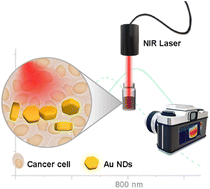 Photothermal therapy for cancer cells using optically tunable Fe2O3@Au ...