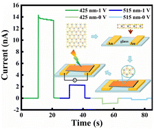 A High Performance Self Powered Photodetector Based On Snp S In The Visible Light Region