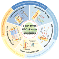 Solar-driven photoelectrochemical conversion of biomass: recent ...