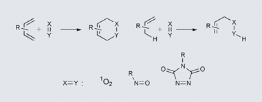 Graphical abstract: Diels–Alder and ene reactions of singlet oxygen, nitroso compounds and triazolinediones: transition states and mechanisms from contemporary theory