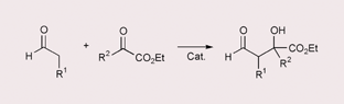 Graphical abstract: Direct catalytic asymmetric aldol reactions of aldehydes