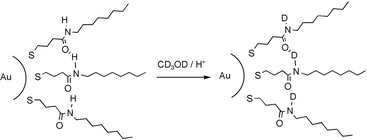 Graphical abstract: Inhibition and acceleration of deuterium exchange in amide-functionalized monolayer-protected gold clusters
