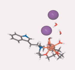 Graphical abstract: Calcium cation complexation by lariat ether receptors having arene-terminated sidearms