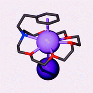 Graphical abstract: σ-Donor, π-donor, and anion competition in π-complexation of alkali metal cations