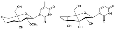 Graphical abstract: 3′,4′-trans-Linked bicyclic nucleosides locked in S-type conformations