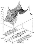 Graphical abstract: Nonlinear chemical dynamics