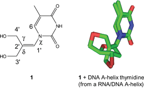 Graphical abstract: Acyclic, achiral enamide nucleoside analogues. The importance of the C [[double bond, length as m-dash]] C bond in the analogue for its ability to mimic natural nucleosides