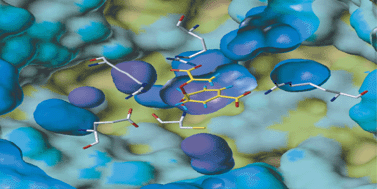 Graphical abstract: Transition state stabilization and substrate strain in enzyme catalysis: ab initio QM/MM modelling of the chorismate mutase reaction