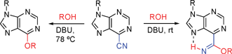 Graphical abstract: Efficient conversion of 6-cyanopurines into 6-alkoxyformimidoylpurines