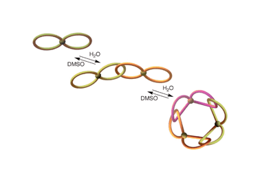 Graphical abstract: A circular tris[2]catenane from molecular ‘figure-of-eight’
