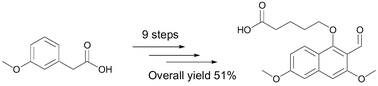 Graphical abstract: Role of the peri-effect in synthesis and reactivity of highly substituted naphthaldehydes: a novel backbone amide linker for solid-phase synthesis