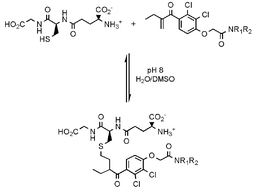 Graphical abstract: Reversible Michael addition of thiols as a new tool for dynamic combinatorial chemistry