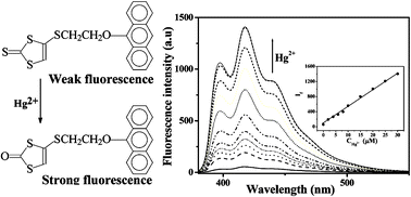 Graphical abstract: 1,3-Dithiole-2-thione derivatives featuring an anthracene unit: new selective chemodosimeters for Hg(ii) ion