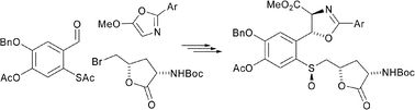 Graphical abstract: Synthesis of the β-hydroxydopa–γ-hydroxy-δ-sulfinylnorvaline component of ustiloxins A and B