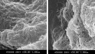 Graphical abstract: Electrochemically deposited nanocomposite of chitosan and carbon nanotubes for biosensor application