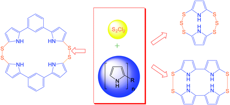 Graphical abstract: Straightforward synthesis of sulfur bridged oligopyrrolic macrocycles
